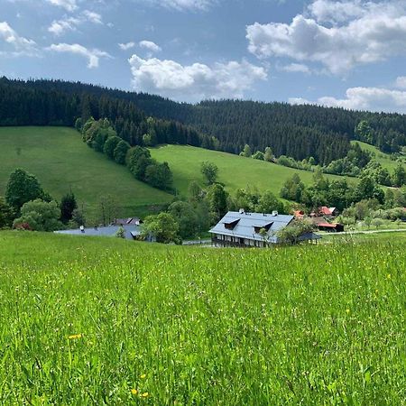 Apartmany Neta Velke Karlovice, Polansky Dvur Экстерьер фото